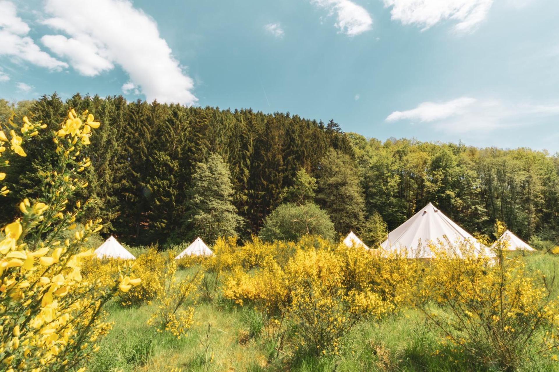 Daft Boutique Hotel & Glamping Malmedy Kültér fotó