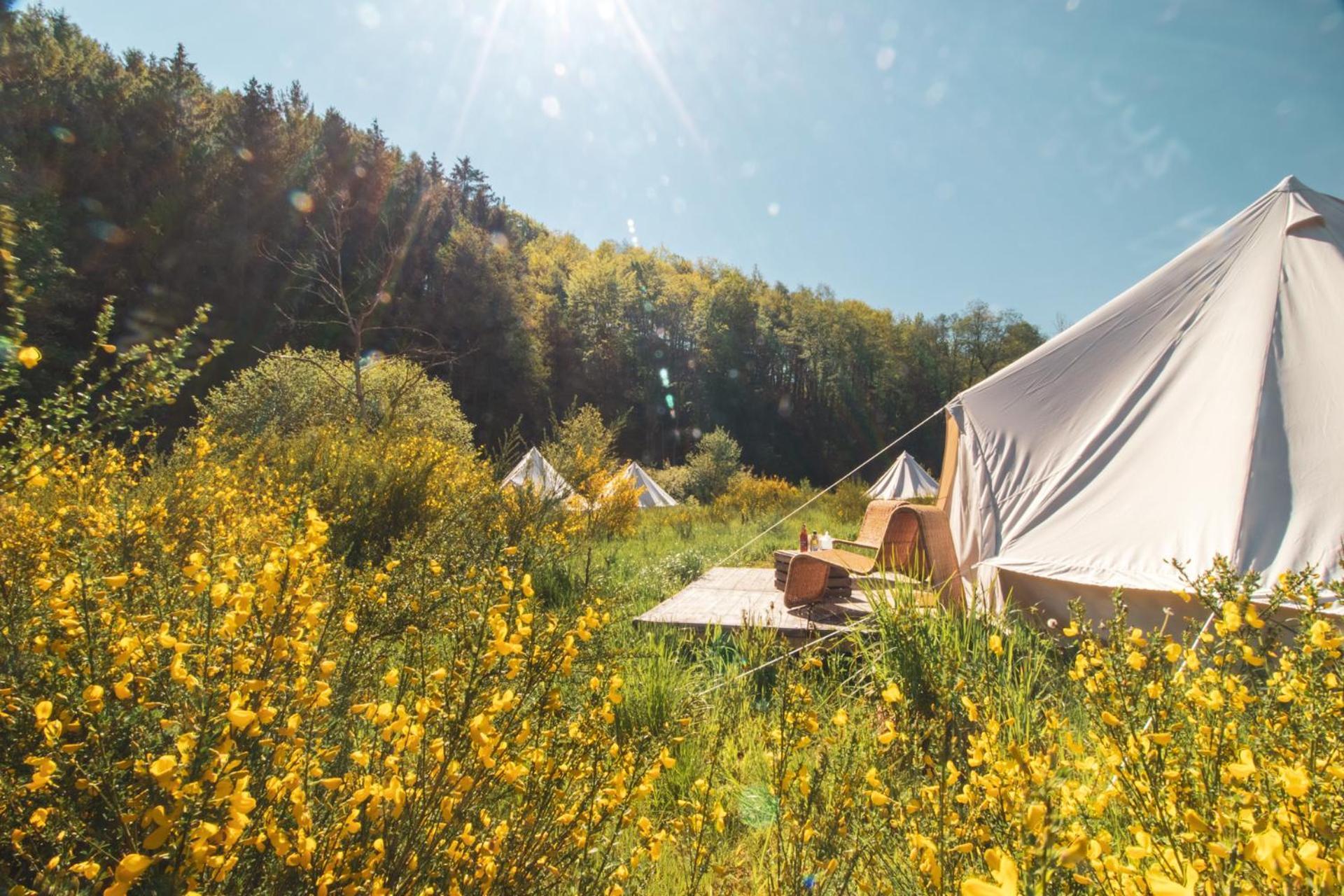 Daft Hotel & Glamping Malmedy Kültér fotó